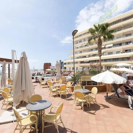 Apartment Santa Maria 133 -